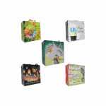 Geschenktasche Glimmer Box 27x27x13cm sortiert, 5...