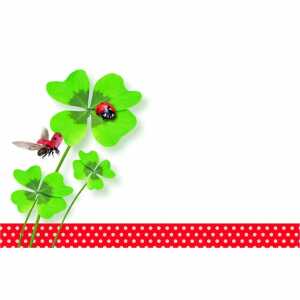 Tischkarten Kleeblatt 6er rundbogen