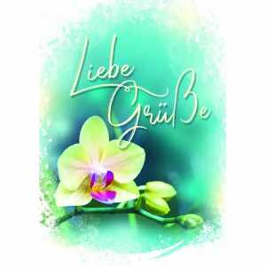 Grußkarte Lilie Liebe Grüße 4016723454095