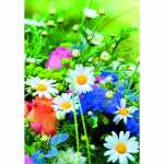 Klappkarte Blumenwiese 4016723456013