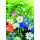 Klappkarte Blumenwiese 4016723456013