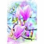 Klappkarte Magnolien Schlitten