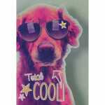 Geburtstagskarte Hund mit Innendruck 4016723500044