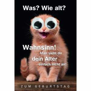 Geburtstagskarte Katze mit Wackelaugen 4016723512610