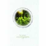 Trauerkarte Wald 4016723810914