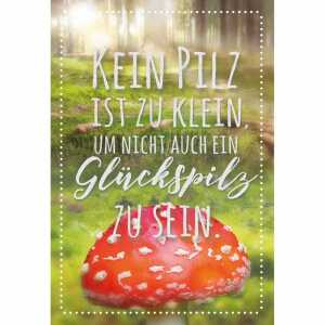 Klappkarte Glückspilz Innenteil 3D