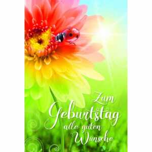 Geburtstagskarte Blume und Marienkäfer