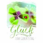 Geburtstagskarte Kleeblatt Marienkäfer
