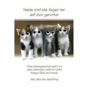 Geburtstagskarte Katzen mit Kulleraugen