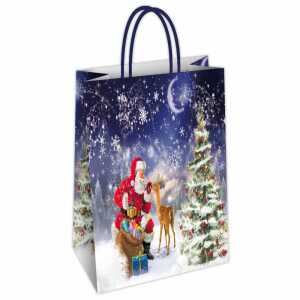 Geschenktasche Nico 54x14x50cm