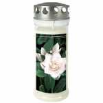 Gedenkkerze 70x170mm Gardenia 9001691138424