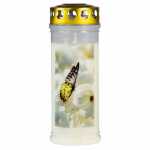 Gedenkkerze 70x170mm Schmetterling