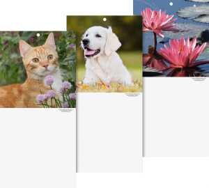 2026 Brunnen Rückwand 145×295 mm 4003273056299