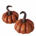 Dekoaufsteller Kürbis Magalo 13cm sortiert 2...