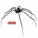 WIDMANN Spinne Schwarze Witwe 8003558781706