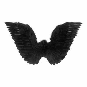 WIDMANN Halloween-Flügel schwarz 8003558867103