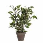 Kunstpflanze Ficus Topf H40cm grün/bunt, Ficus...