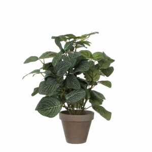 Kunstpflanze Pilea im 8712293660596