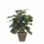 Kunstpflanze Pilea im 8712293660596