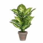 Künstliche Dieffenbachia 8712799124684