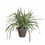 Kunstpflanze Dracena im 8717669516231