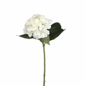 Edelman Kunstblume , Hortensie