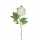 Edelman Kunstblume Pfingstrose Stängel 76cm creme, Peony, Edelmann