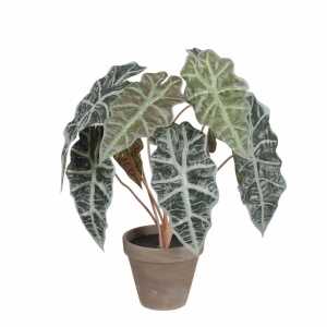 Kunstpflanze Alocasia im 8720362148449