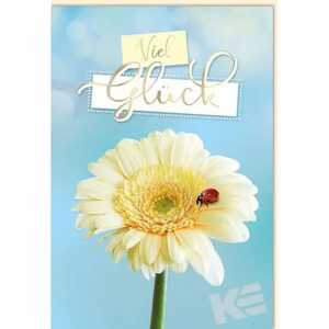 Glückwunschkarte Blume 4016723411241