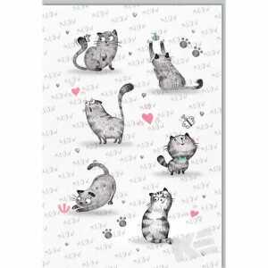 Klappkarte Katzen 4016723491014