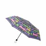 Taschenschirm Paraplius 8718351725689