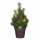 LED-Weihnachtsbaum Topf 8720362191018
