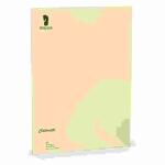 Briefpapier Coloretti A4 80g sandbraun 10 Blatt