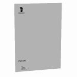 Briefpapier Coloretti A4 80g eucalyptus 10 Blatt
