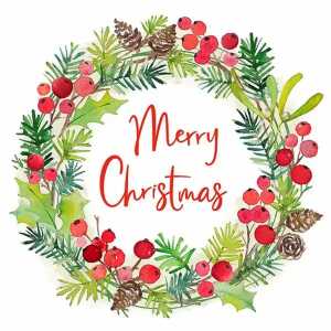 Servietten 25x25cm Aquarellkranz, 20 Stück, 3-lagig, Braun + Company