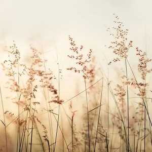 Servietten 33x33cm Gräser im Wind, 20 Stück, 3-lagig, Braun + Company