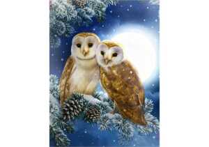 Diamond Painting Eulen 50x40cm, farbig sortierte Steine, eine Schale
