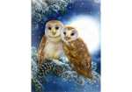 Diamond Painting Eulen 50x40cm, farbig sortierte Steine,...