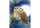 Diamond Painting Eulen 50x40cm, farbig sortierte Steine, eine Schale