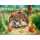 Diamond Painting Igel 40x30cm, farbig sortierte Steine, eine Schale