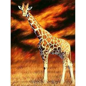 Diamond Painting Giraffe 40x30cm, farbig sortierte Steine, eine Schale