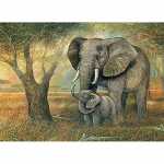 Diamond Painting Elefanten 40x30cm, farbig sortierte...