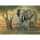 Diamond Painting Elefanten 40x30cm, farbig sortierte Steine, Schale