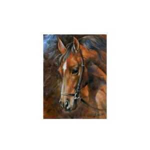 Diamond Painting Pferd 40x30cm, ein Bild, farbig sortierte Steine,