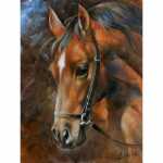 Diamond Painting Pferd 40x30cm, ein Bild, farbig...