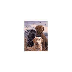Diamond Painting Hunde 40x30cm, farbig sortierte Steine, eine Schale