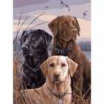 Diamond Painting Hunde 40x30cm, farbig sortierte Steine,...