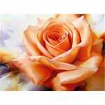 Diamond Painting Orangene Rose 50x40cm, farbig sortierte...