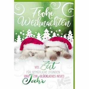 Weihnachtskarte Frohe Weihnachten Katzen, Eulzer