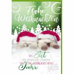 Weihnachtskarte Frohe Weihnachten Katzen, Eulzer